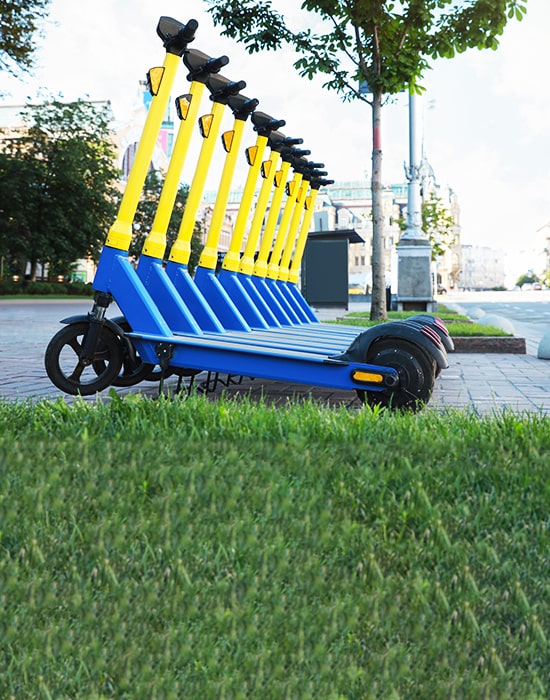 Government and Municipal Services