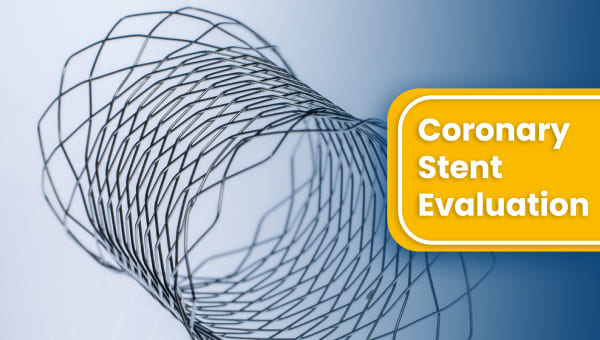 Design Evaluation Success Story