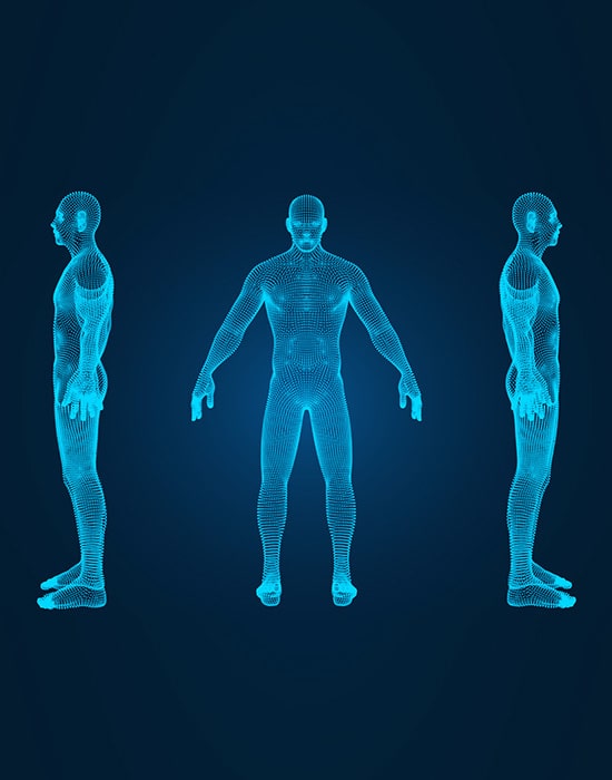 Human Body Modeling