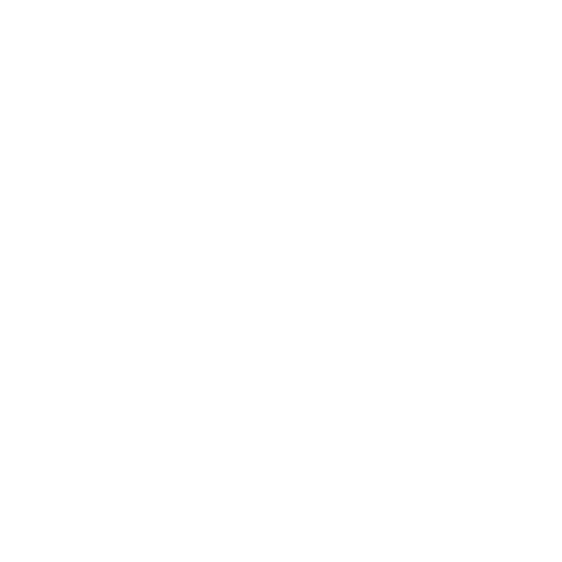 Optimization Icon