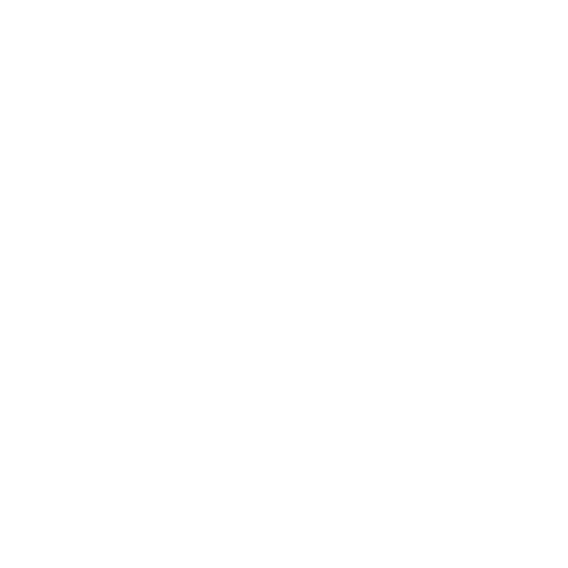 Optimization Icon