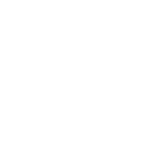Optimization Icon
